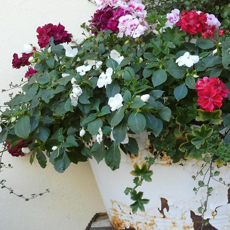 Pension Waldliesel Dornstetten المظهر الخارجي الصورة